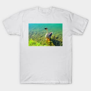 View from Santarelli lakes with a goose walking on some rocks in the aquamarine lake with fresh greenery T-Shirt